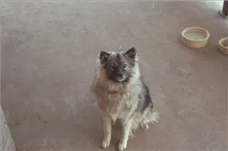 small_9400 1026 cew family, flowersImg0043.webp